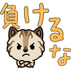 Anim. Sokoke 4th Text