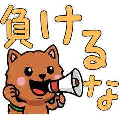 Anim. Cinnamon Cat 4th Text