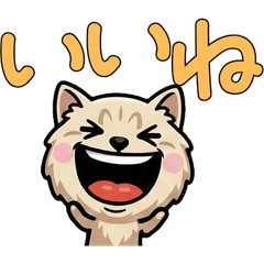 Anim. Chantilly 4th Text