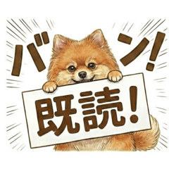 毎日の気持ちを伝えるポメラニアン