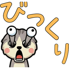 Anim. Shaded Cat 4th Text