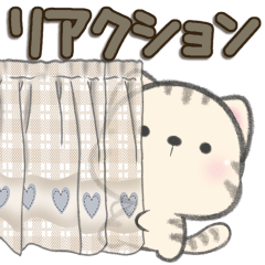 とらにゃん***リアクション