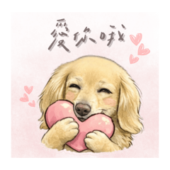 我叫恰恰_日常實用