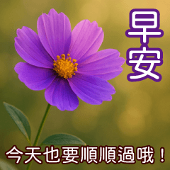 早安 ! 午安 ! 晚安 ! 美滿 ! 長輩圖(4)