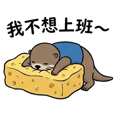 The daily life of a little sea otter