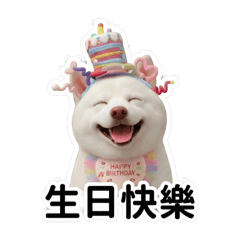 3D Q版萌犬生日派對：可愛白柴表情包貼圖