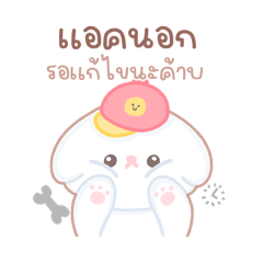 phatstore : น้องหมี luv my jobbb