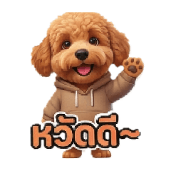 Daily Cute Animals!!!