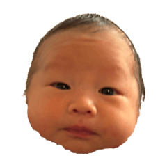 sakura_20260116131832