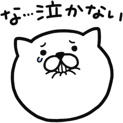 つかいやすいねこです。叱られリアクション