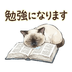 Lazy Cat's Polite Greetings