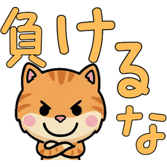 Anim. Cameo Tabby 4th Text