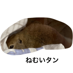 kabigon_20260116141945