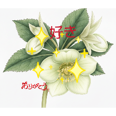 sugar_20260114135015