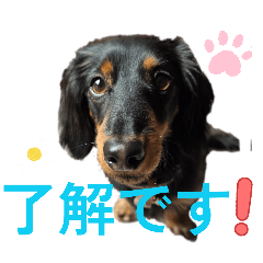 YUKA_20260114145701
