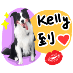 Kelly's Daily (900073000003121)