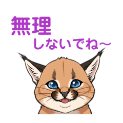 pomechiwa_20260116162131