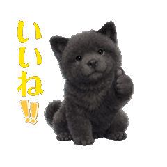 kou11_20260116212432