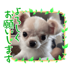 mugi_20260116151520