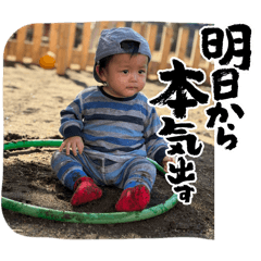 momo_20260116185716