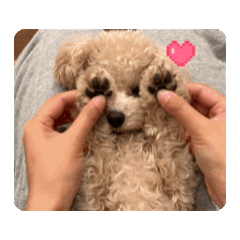 mugi_20260117013331