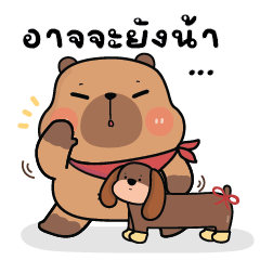 คาปิบาร่าเอง V.28 : หมามะพร้าว & ดัชชุน
