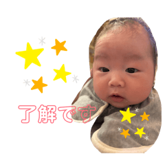 sakura_20260116154356