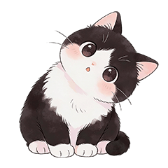 Chubby Tuxedo Cat Life