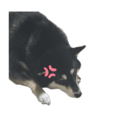 mizuki_20260116205841