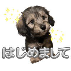 Risa_20260116205600