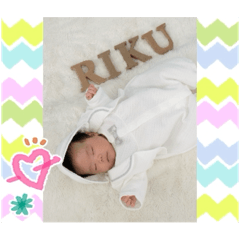 haruka_20260116161454