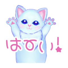 Bella_20260116193049