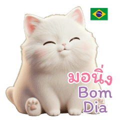 แมวอ้วน ภาษาโปรตุเกส(บราซิล) และ ไทย
