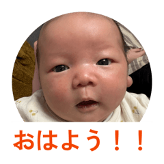 momotaro_20260116204312