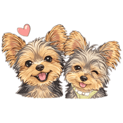 salty_20260116214401