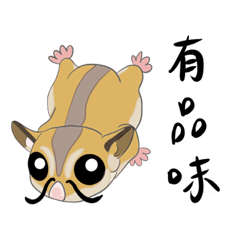 Cute Sugar Glider 2026