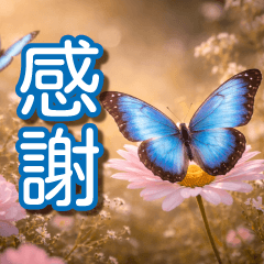 長輩圖簡單問候語 ! (字加大版) 2