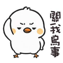 (°<> °) 肥肥小雞關我鳥事