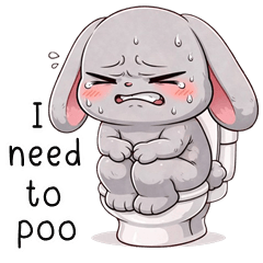 Cheeky Gray Rabbit (ENG)