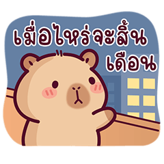 BongBong, the naughty capybara 11