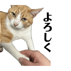 k-suke_20260116173237