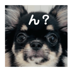 TAKECHIO_20260116173526