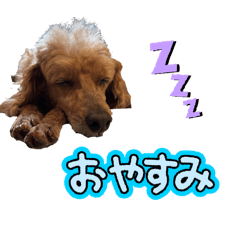 keiwa_20260116174245