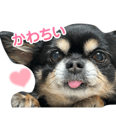 mugi_20260116223014