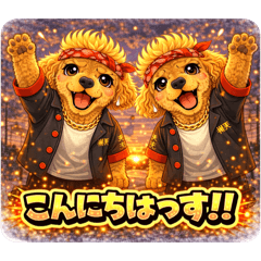 mofumimi brothers_20260114204448