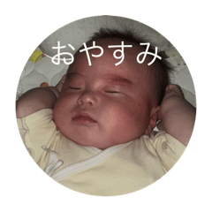 Ponkotu_20260117005957