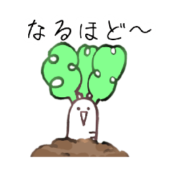 Haruka_20260116211040