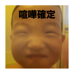 PANDA_20260117000801