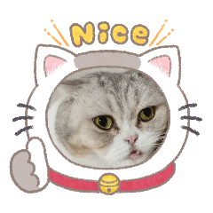 Capmoo Sticker