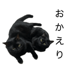 Koneko_20260116221627